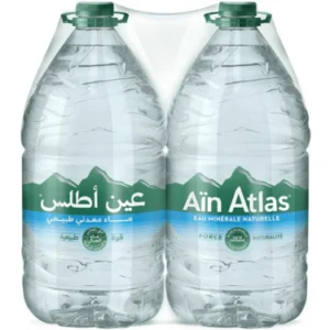 Eau Minérale Naturelle Ain Atlas 2 x 5L
