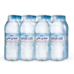 Eau minéral naturelle Sidi Ali 12 x 33 CL