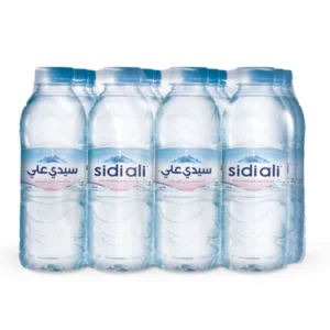 Eau minéral naturelle Sidi Ali 12 x 33 CL