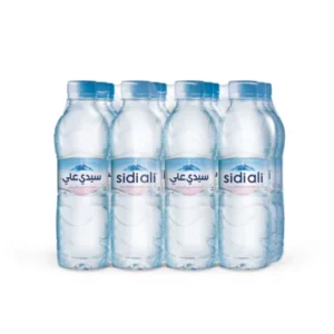 Eau minéral naturelle Sidi Ali 12 x 50 CL