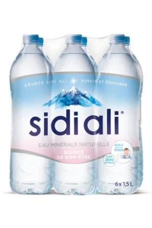 Eau Minérale Naturelle Sidi Ali 6 x 1.5 L